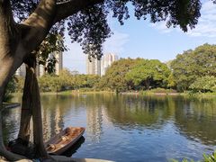 -晓港公园