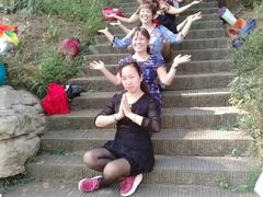 -铁山坪森林公园