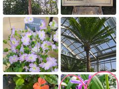 -国家植物园南园
