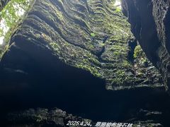 -梭布垭石林景区