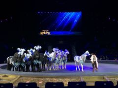 -珠海横琴长隆《卡卡虎奇遇记》