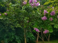 -金山植物公园