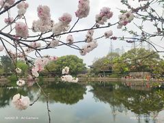 -无锡蠡湖国家湿地公园-蠡园