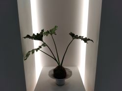 -颜蕾医美·黄金微针·水光·玻尿酸·超声炮·抗衰中心