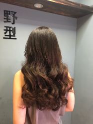 点击看大图 -藤野造型