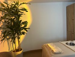 -薇薇安花系SPA