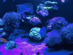 -海合安武汉极地海洋公园