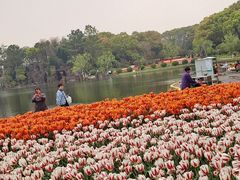 -上海鲜花港