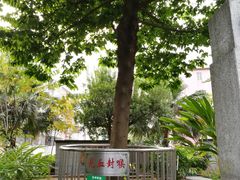 -广州神农草堂中医药博物馆