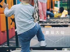 -新江湾城公园