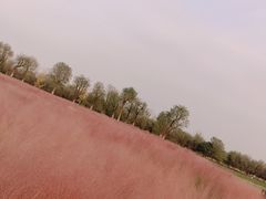 -汉长安城未央宫国家考古遗址公园