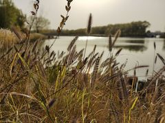 -大兴滨河森林公园