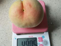 -上海市长春食品商店(淮海中路店)