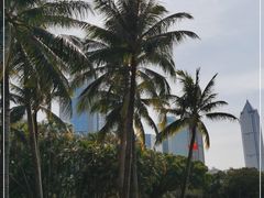 -万绿园
