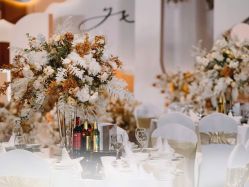 -明典婚礼策划·婚车租赁·婚纱摄影