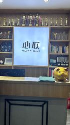 -心联形象设计·流星染