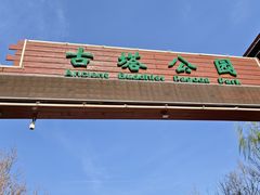 -古塔公园