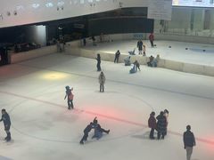 -TheRink大零溜冰场(IFS国金中心店)