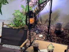 -J Create城市露营咖啡·简餐·宠物(上海动物园店)