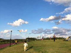 -春花秋色城市公园