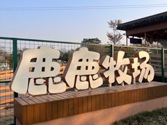 -盈香心动乐园