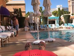 -拉斯维加斯永利酒店