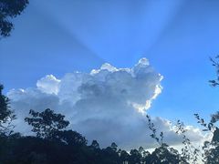 -水濂山森林公园