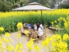 -中国天府农业博览园