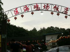-区海鸡场饭店(石壁店)