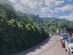 -Local泰莲庭(虹鳟鱼店)