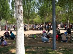 -长白岛森林公园