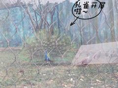 -无锡动物园·太湖欢乐园