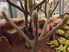 -南通洲际绿博园