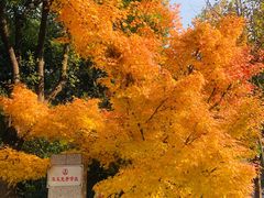 -苏州河梦清园环保主题公园