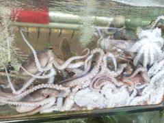 -四海鲜渔家菜(黄金海岸店)