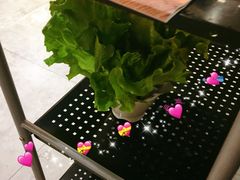 生菜-陈记顺和潮汕牛肉火锅(番禺迎宾大道店)