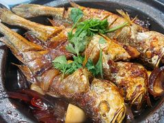 -向民炒鸡老店(火车站店)