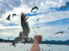 -海驴岛(荣成市)