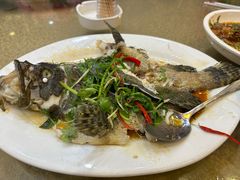 -天天海鲜城·海鲜大排档(新溪店)