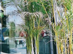 -思念果岭湖畔花房餐厅