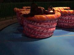 -青岛嘉年华主题乐园