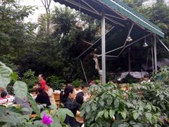 -大味生态火锅(蓝谷地店)