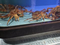 -阿伟海鲜楼·福建菜(延寿店)
