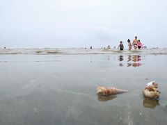 -江山半岛白浪滩景区