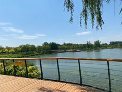 -东郊湿地公园