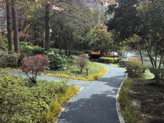-新江湾城公园