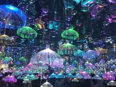 -天津梵高星空艺术馆(天河城旗舰店)
