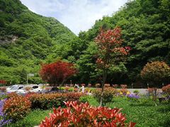 -秦岭风景区
