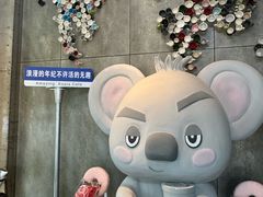 -了不起的考拉咖啡店(高新店)