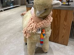 -the balancing(东方店)